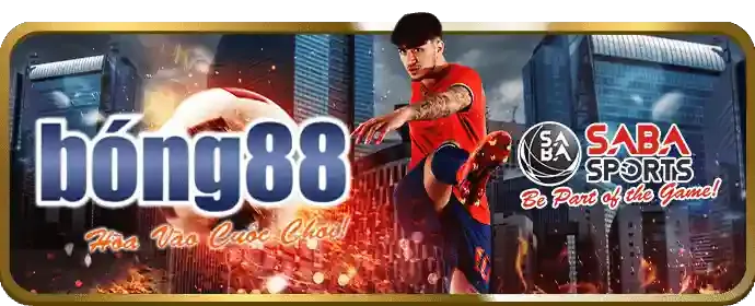 Quan sát diễn biến trận đấu